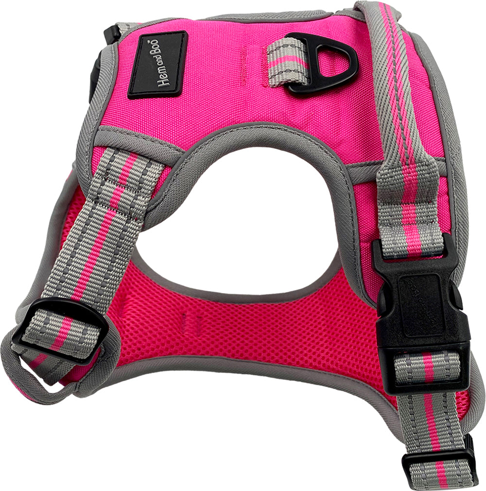 Hem and Boo Sports Collar, Harness & Lead Range