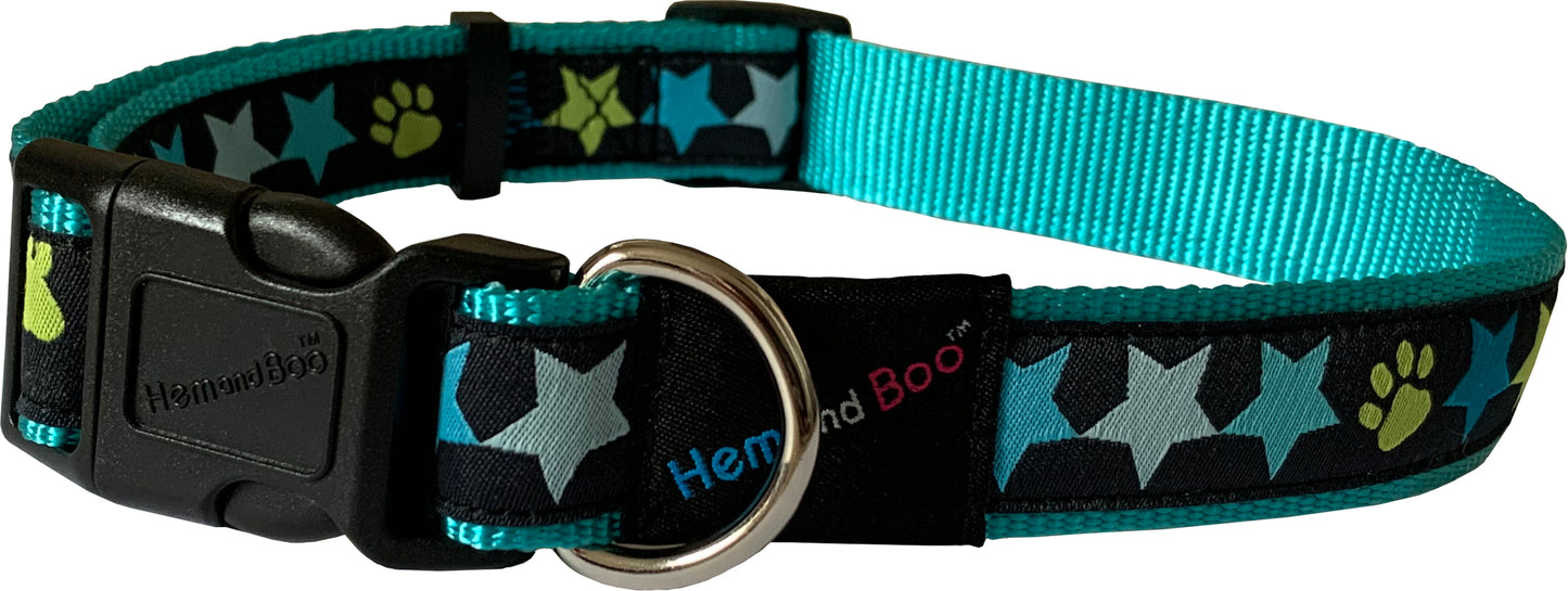 Star Collar & Leads