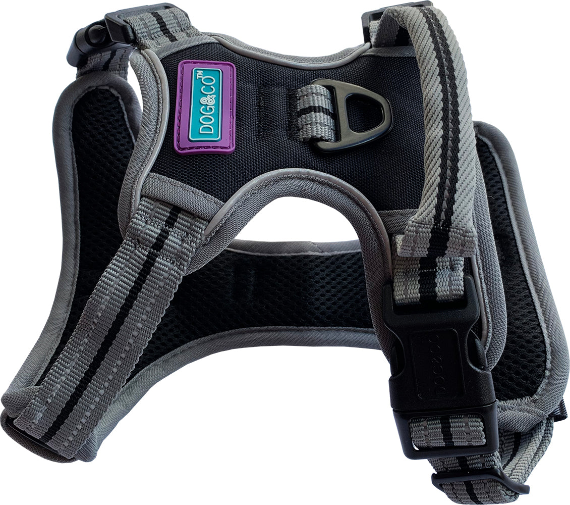 Hem and Boo Sports Collar, Harness & Lead Range