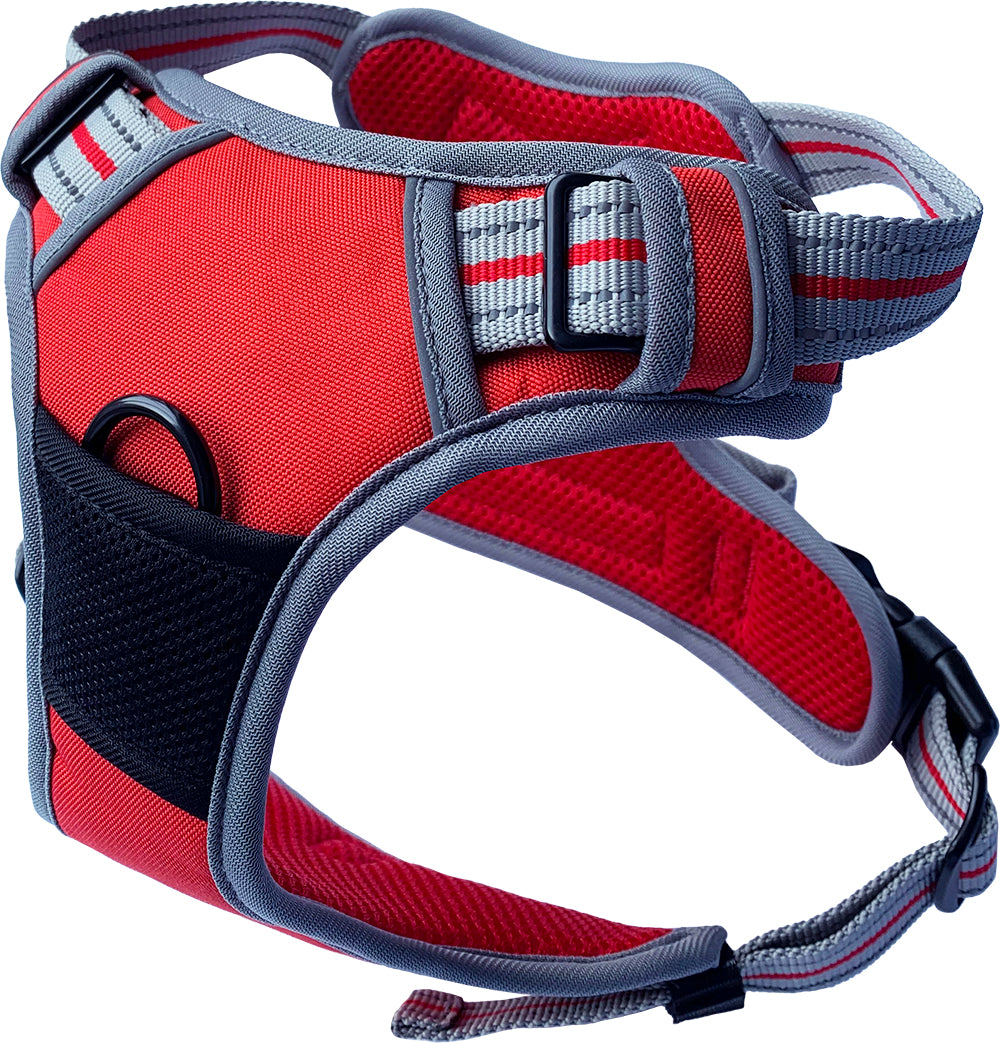 Hem and Boo Sports Collar, Harness & Lead Range