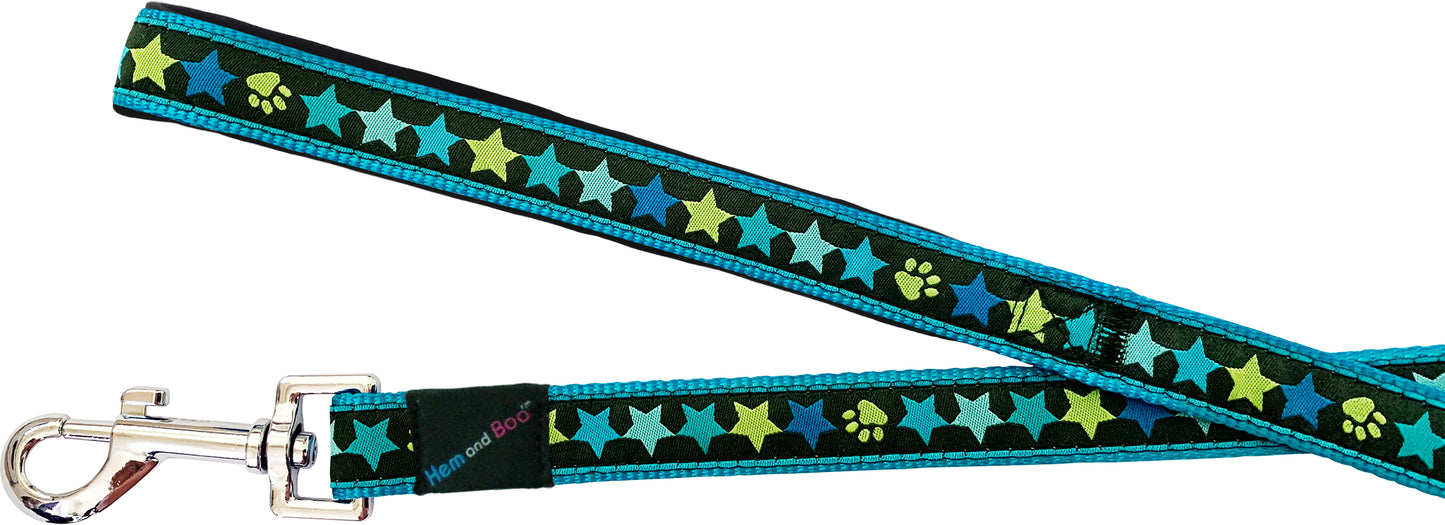 Star Collar & Leads