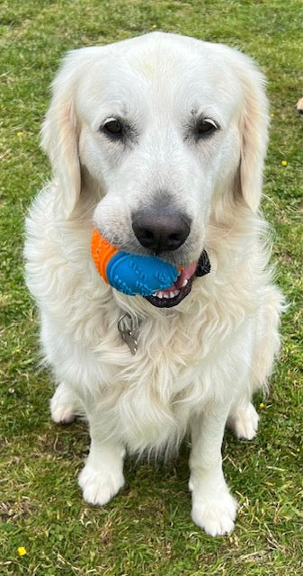 Hem and Boo TPR "Scooby Doo" Ball with Squeaker 9cm (DT5535)